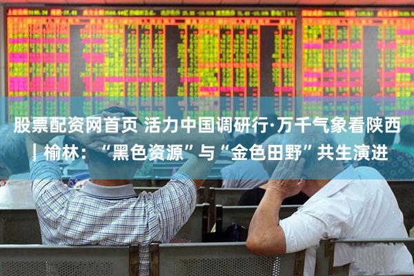 股票配资网首页 活力中国调研行·万千气象看陕西｜榆林：“黑色资源”与“金色田野”共生演进