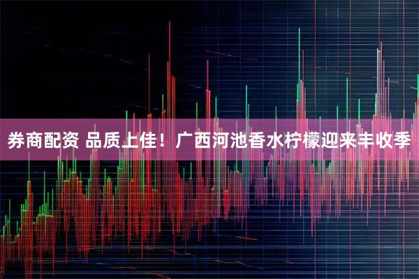 券商配资 品质上佳！广西河池香水柠檬迎来丰收季